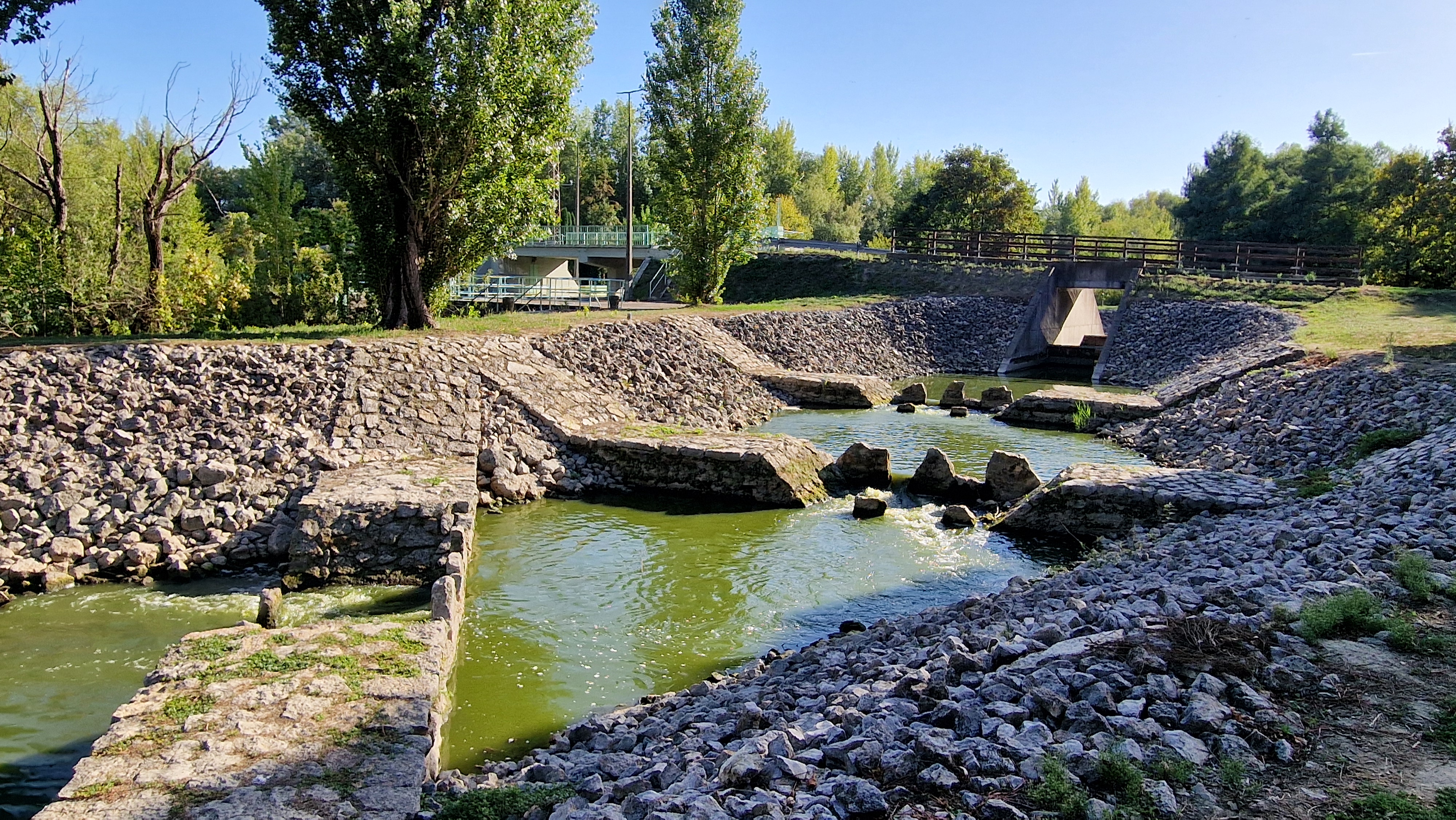 Désert ou oasis