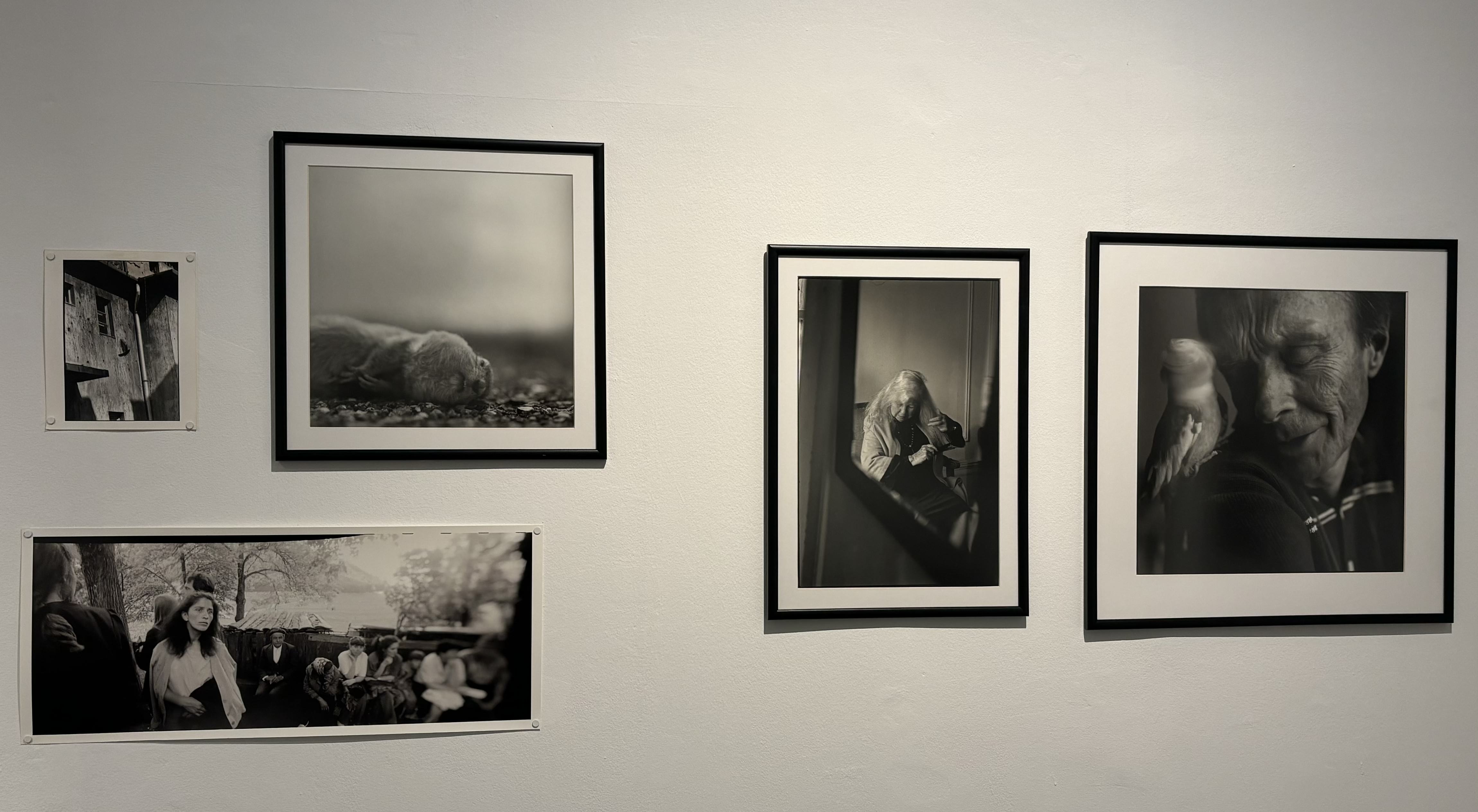 concours de photo de presse hongroise